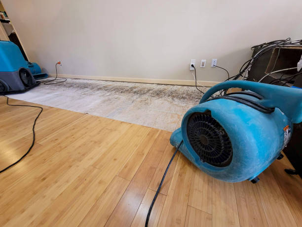 Professional Water Removal technician working in McKees Rocks, PA